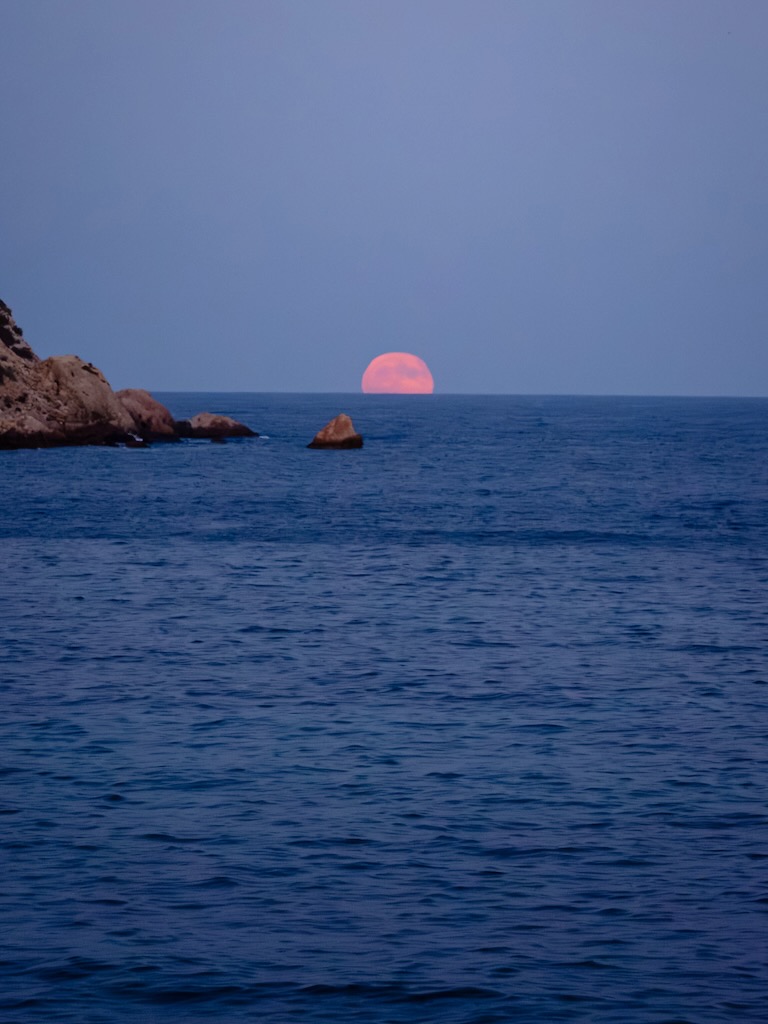 White Ibiza Fine Dining Guide: Amante Ibiza, Sol d'en Serra