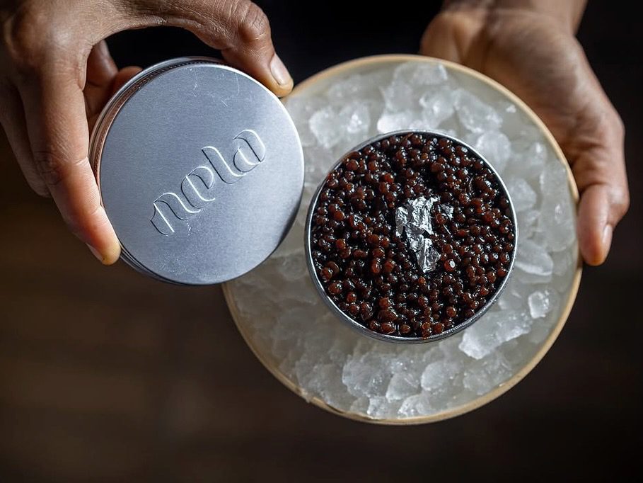 White Ibiza Fine Dining Guide: Nela Pop-Up with Óscar Salazar at 7Pines Resort Ibiza