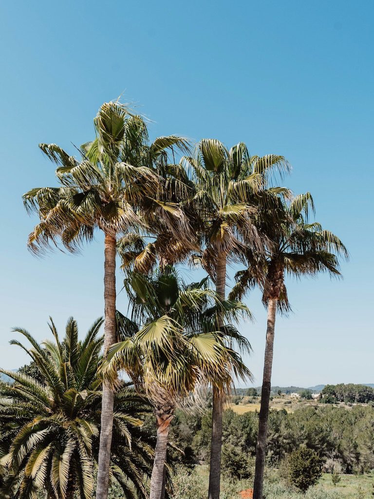 White Ibiza Villas: Villa Can Baix, villa in Santa Gertrudis