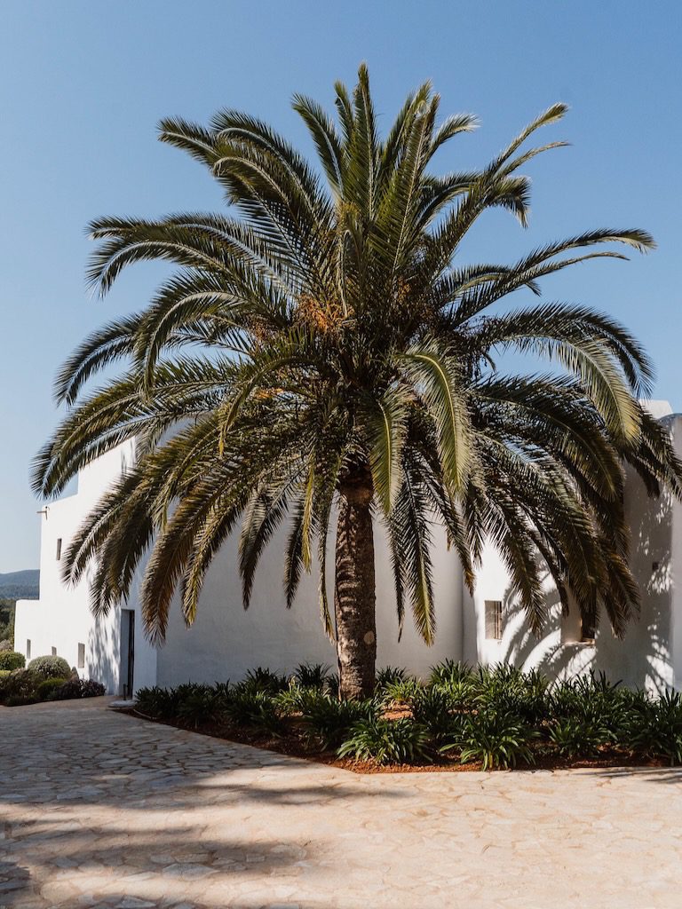 White Ibiza Villas: Villa Can Baix, villa in Santa Gertrudis