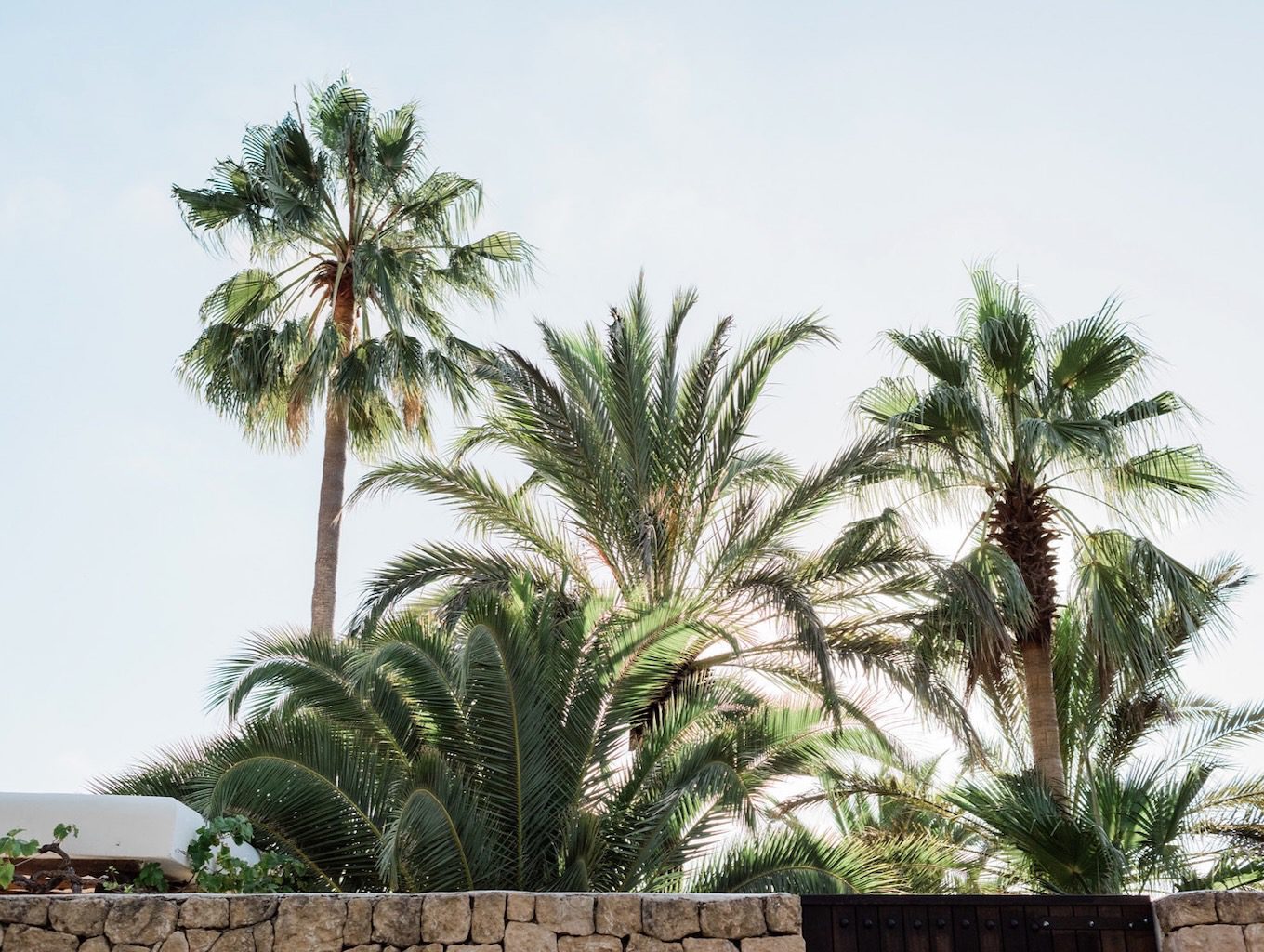 White Ibiza Villas: Casa Amalia, luxury villa near Cala Jondal in Ibiza