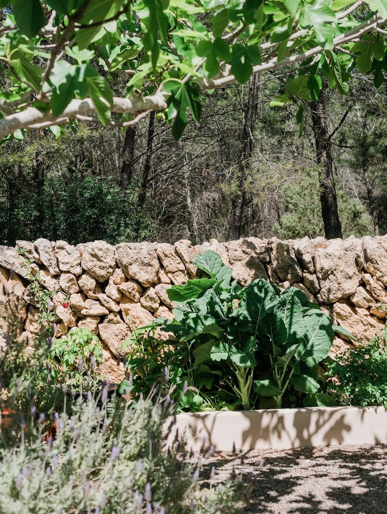 White Ibiza Villas: Casa Arabella, luxury villa in Santa Eulalia