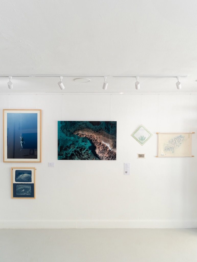 White Ibiza Living Directory: Art & Culture – Olas Gallery