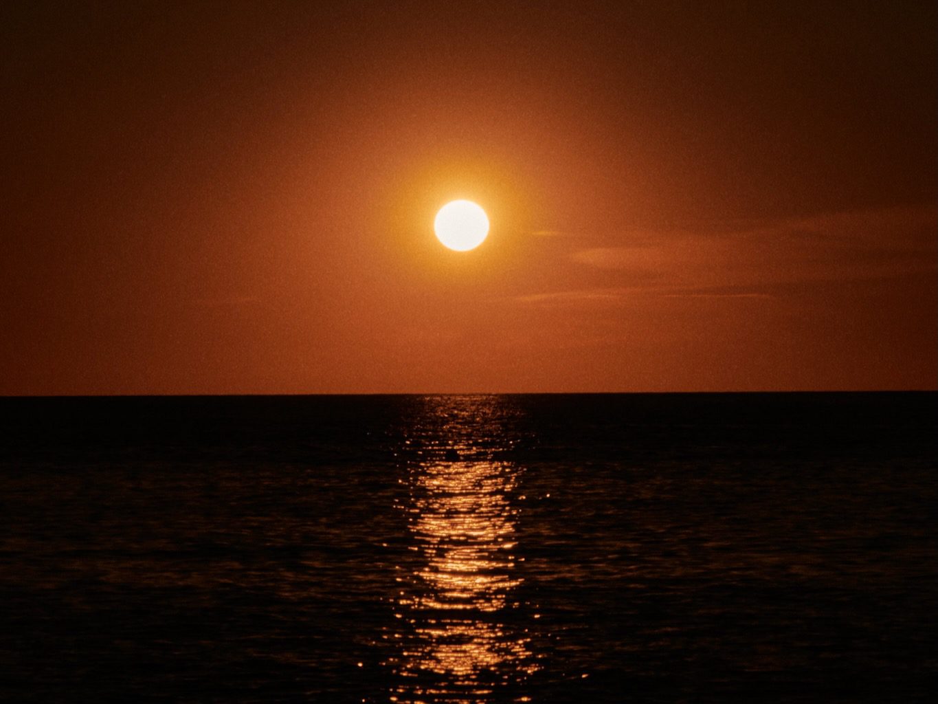 White Ibiza Journal: Sun-kissed days and starry nights – El Silencio & Urusai Ibiza