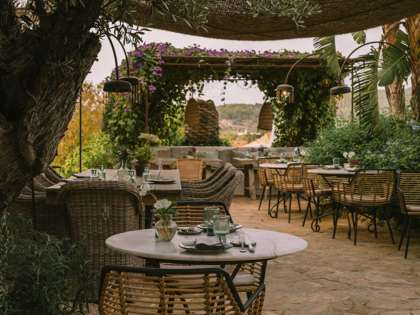 White Ibiza Calendar: Artisanal Wine Tasting at Es Cucons