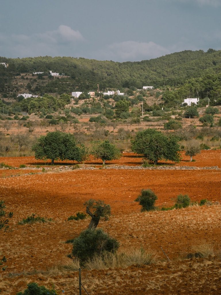 White Ibiza Country Hotels Guide: Es Cucons