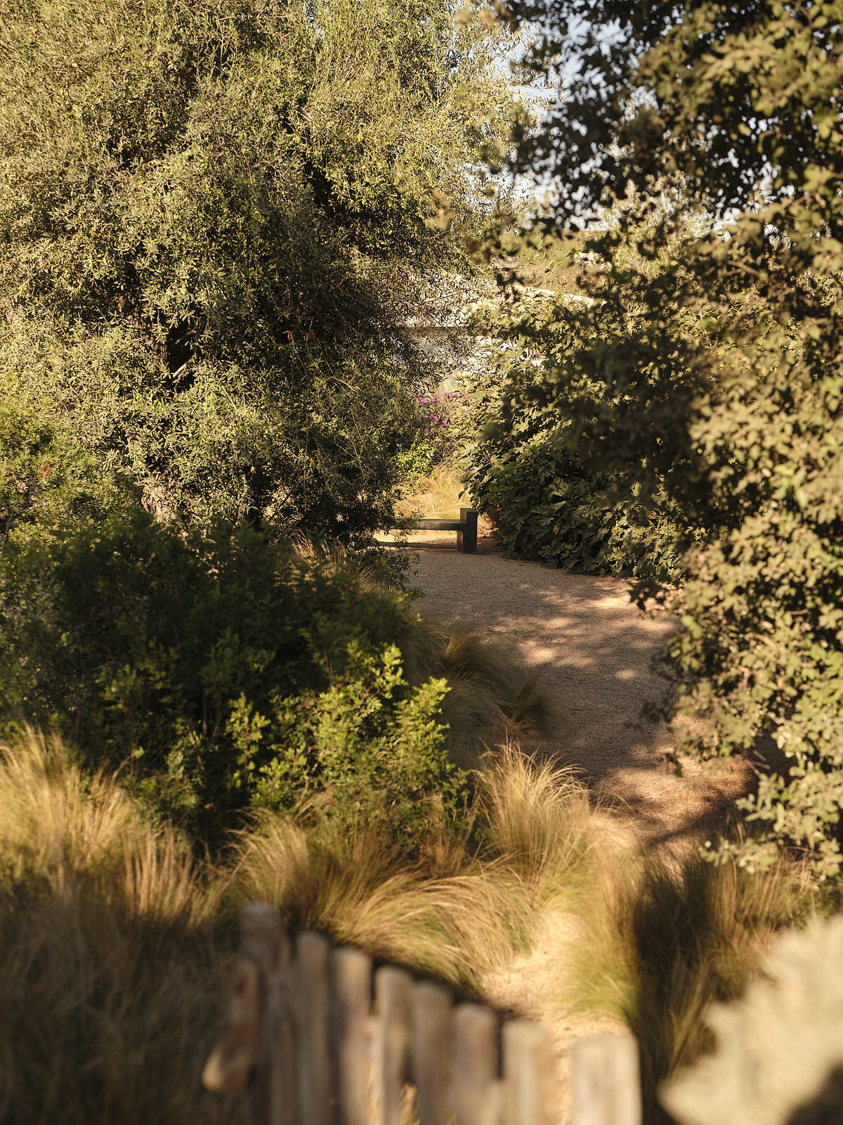 White Ibiza Living Directory: Art & Culture - Estudio Laterna, Santa Gertrudis