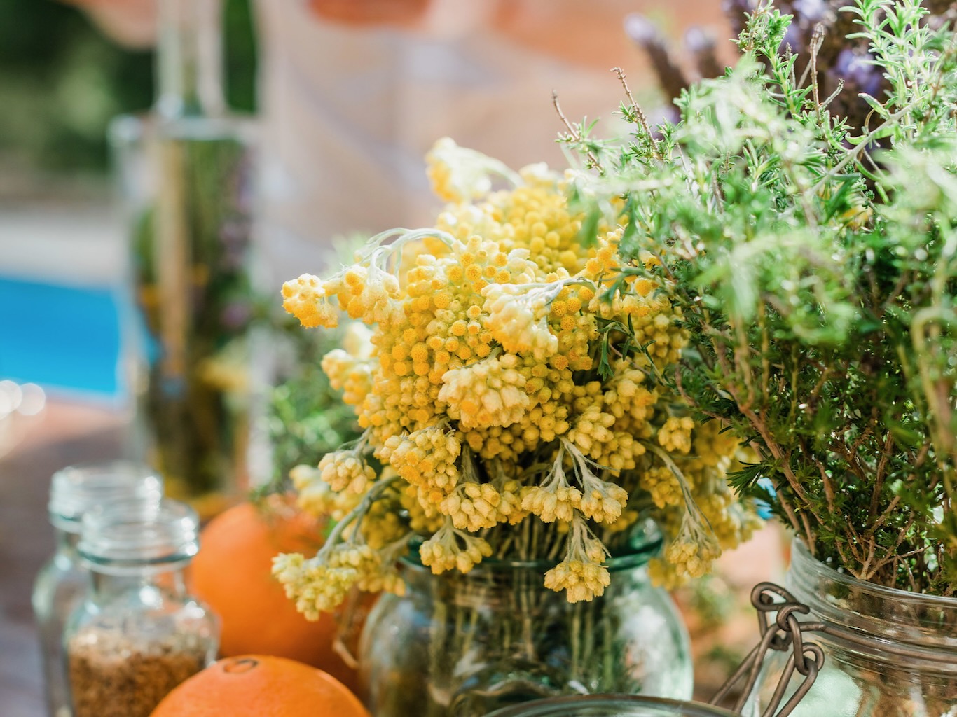 White Ibiza Calendar: Ibiza Hierbas Workshop at Hostal La Torre