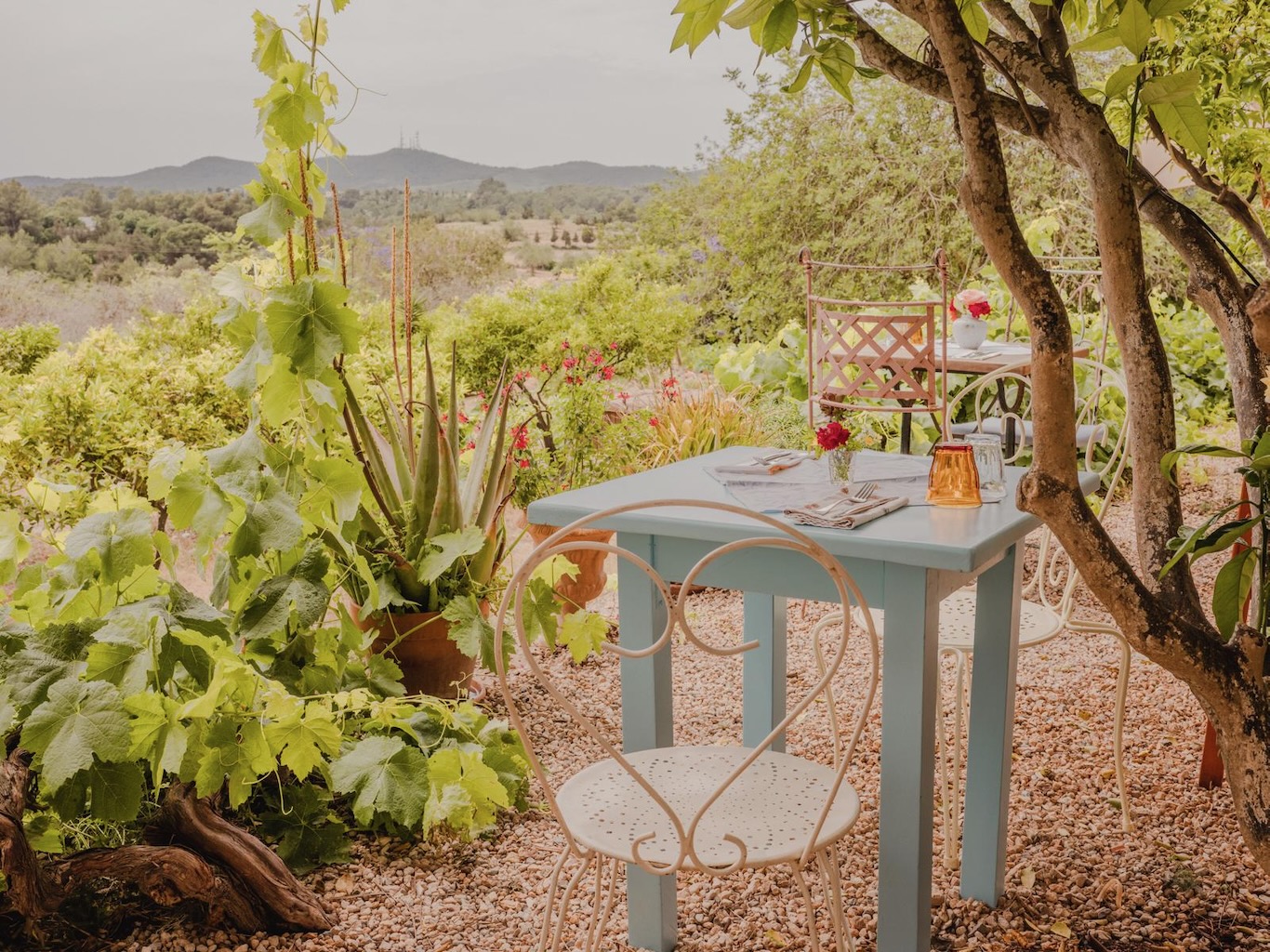 White Ibiza Calendar: Winter Lunch Pop-Up at La Paloma