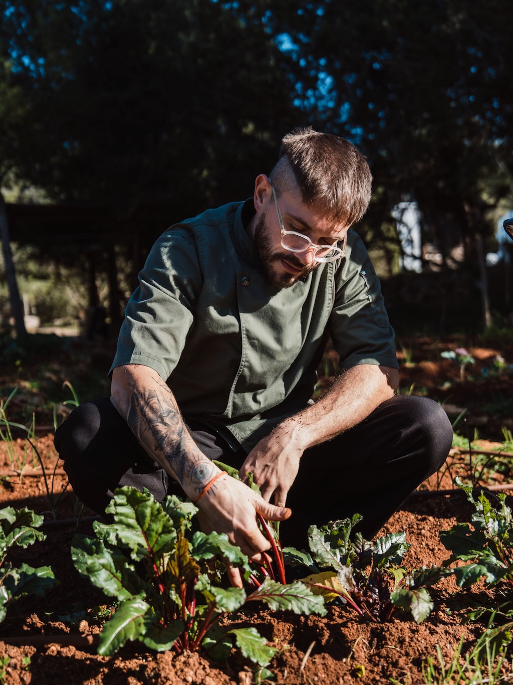 White Ibiza Journal: Regenerating abundance – Can Vistabella