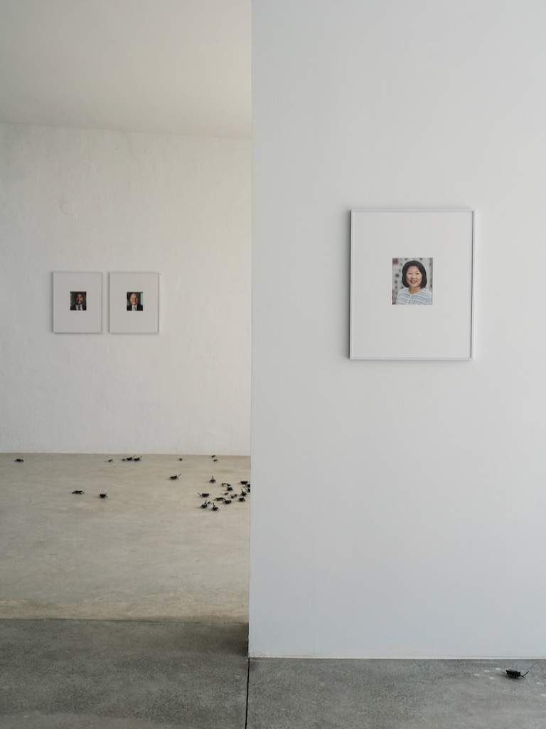 White Ibiza Living Directory: Art & culture – La Carpintería, Ses Dotze Naus, art gallery in Ibiza