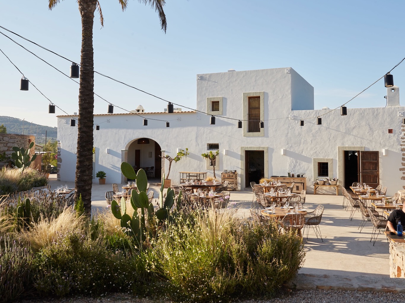White Ibiza Journal: A full circle moment – Juntos Ibiza