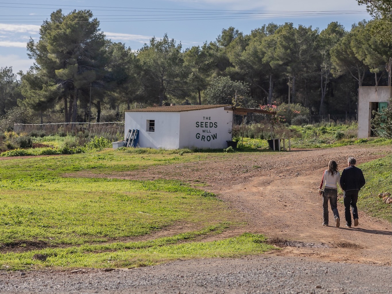 White Ibiza Journal: A full circle moment – Juntos Ibiza