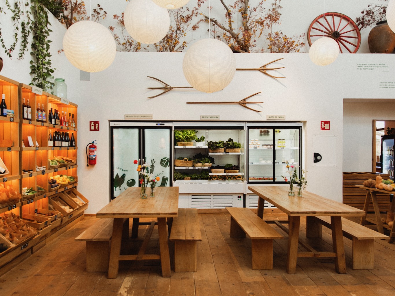 White Ibiza Journal: A full circle moment – Juntos Ibiza