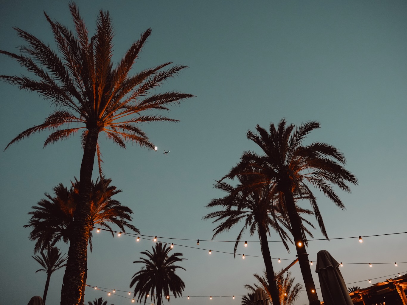 White Ibiza Calendar: Summer Closing 2026 at Beachouse Ibiza